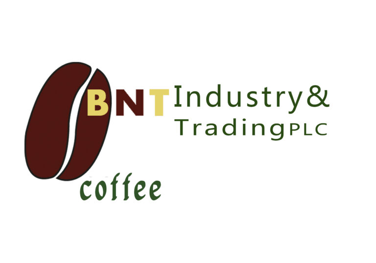 BNT Industry and Trading PLC Job Vacancy