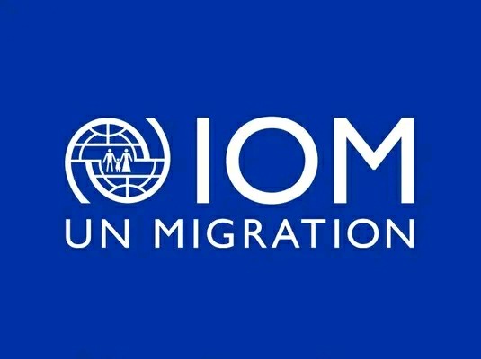 IOM NGO Job Vacancy - Intern