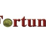 Addis Fortune Vacancy