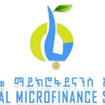 Bilal Microfinance Vacancy 2024