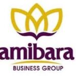 Amibara Properties Vacancy Fresh Graduates