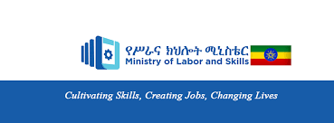 The Ministry of labour and Skills Questionnaire for job seekers