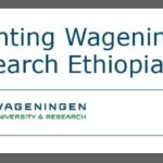 Stichting Wageningen Research (SWR) Ethiopia Vacancy