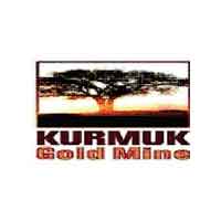 Kurmuk Gold Mine PLC Job Vacancy