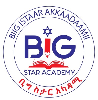 Big Star Academy Job Vacancy