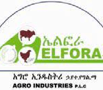 ELFORA AGRO INDUSTRY PLC JOB VACANCY