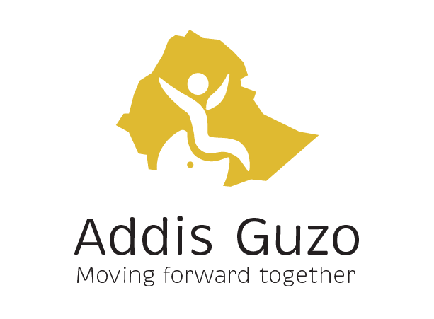 Addis Guzo NGO Job Vacancy