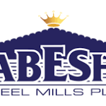 Habesha Steel Mills PLC Vacancy