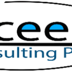 Excess Consulting PLC Job Vacancy