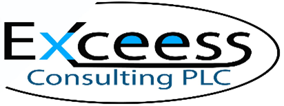 Excess Consulting PLC Job Vacancy