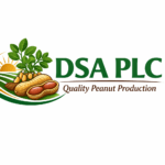 DSA PLC Job Vacancy 2026