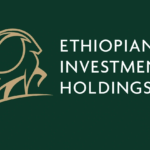 Ethiopian Investment Holdings Job Vacancy
