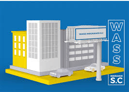 Wass Insurance Job Vacancy 2026