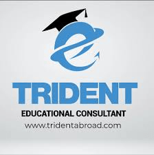 Trident Educational Consultants Job Vacancy