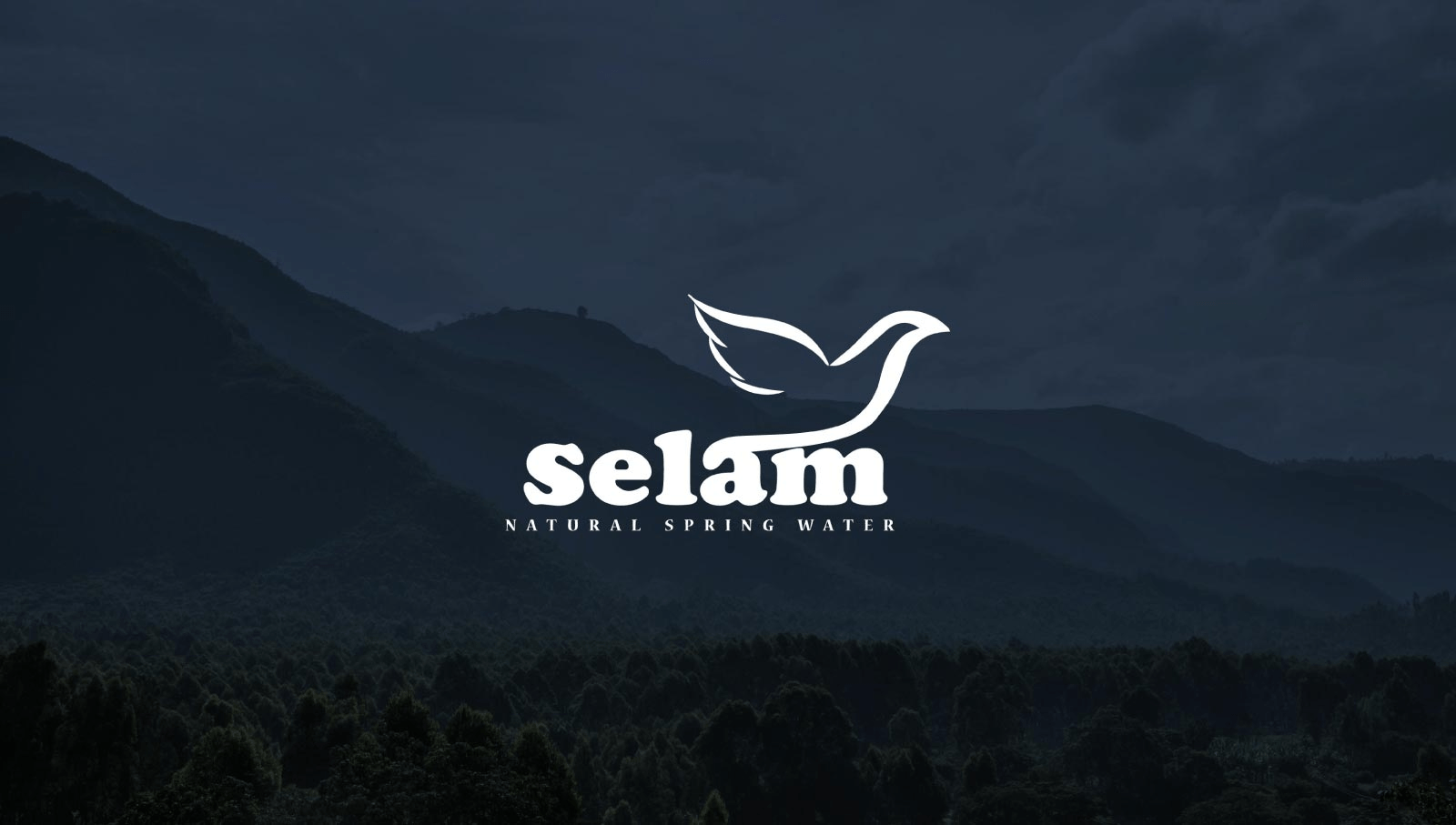 Selam Water Job Vacancy 2026
