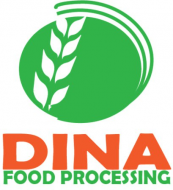 DINA Investment Group Job Vacancy 2026